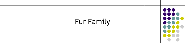 Fur Family
