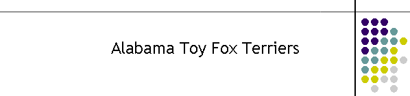 Alabama Toy Fox Terriers